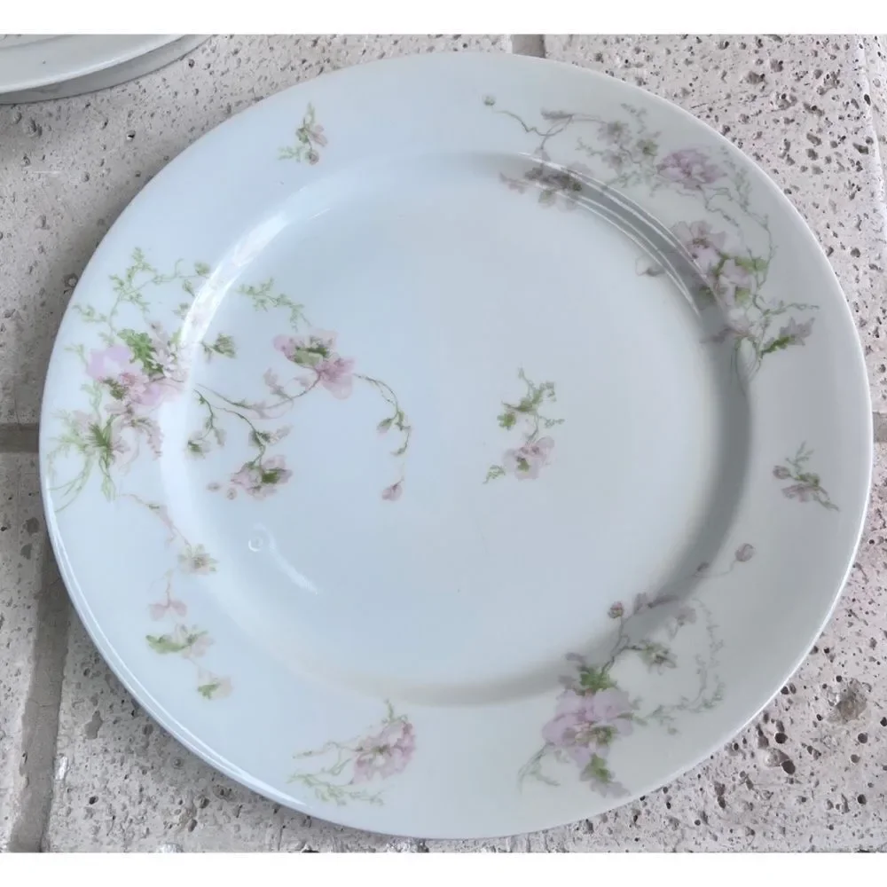 Limoges vintage gda